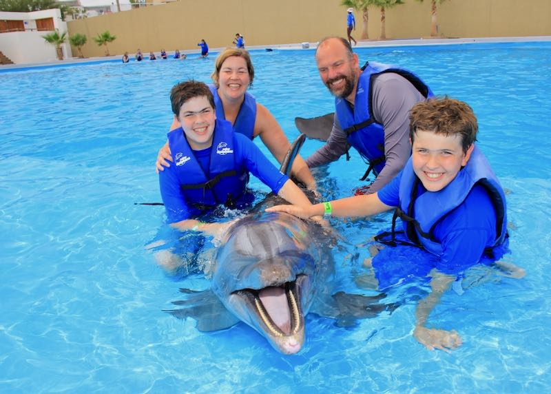 Swimming with dolphins in Los Cabos.