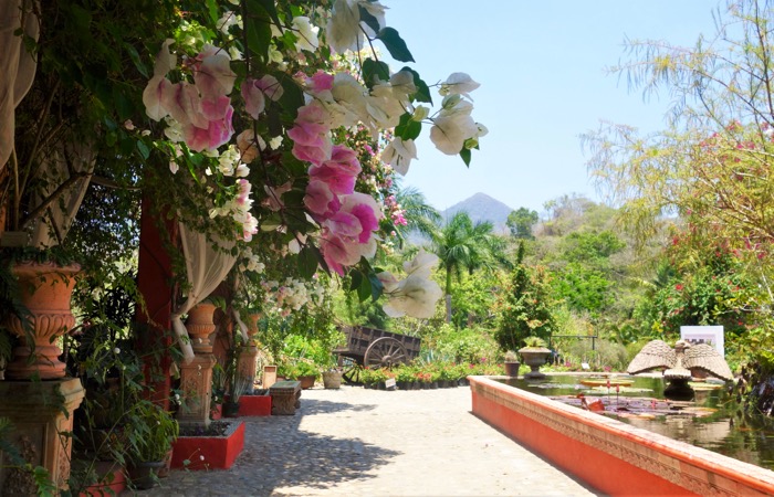 Day trip to the Vallarta Botanical Gardens.