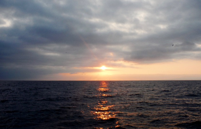 Best sunset sailing charters in Puerto Vallarta