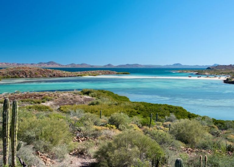 18 Best Beaches in Baja Mexico - Mexico Dave