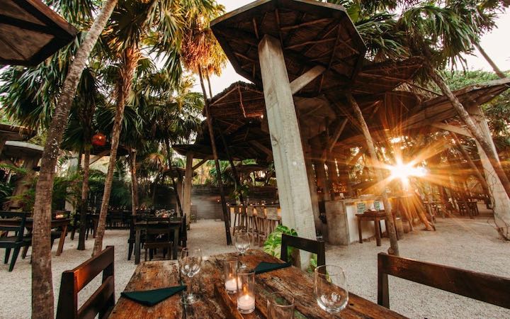 Open-air dining space at The Wild in Tulum