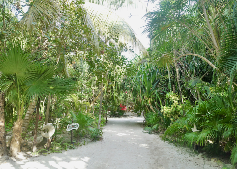 Driveway into the Cabanas property