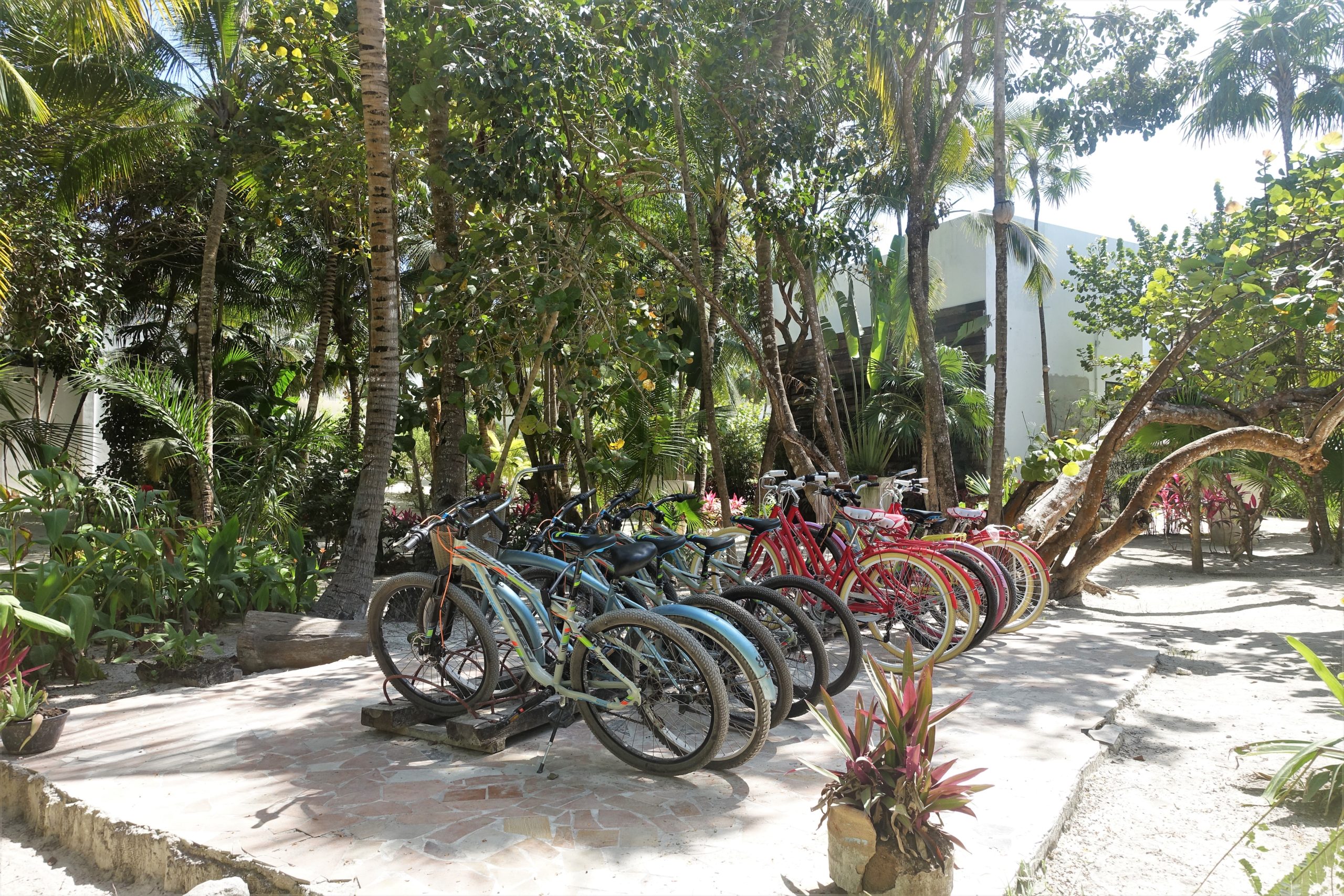 hotel bikes