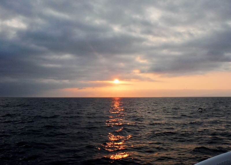 Best sunset sailing charters in Puerto Vallarta