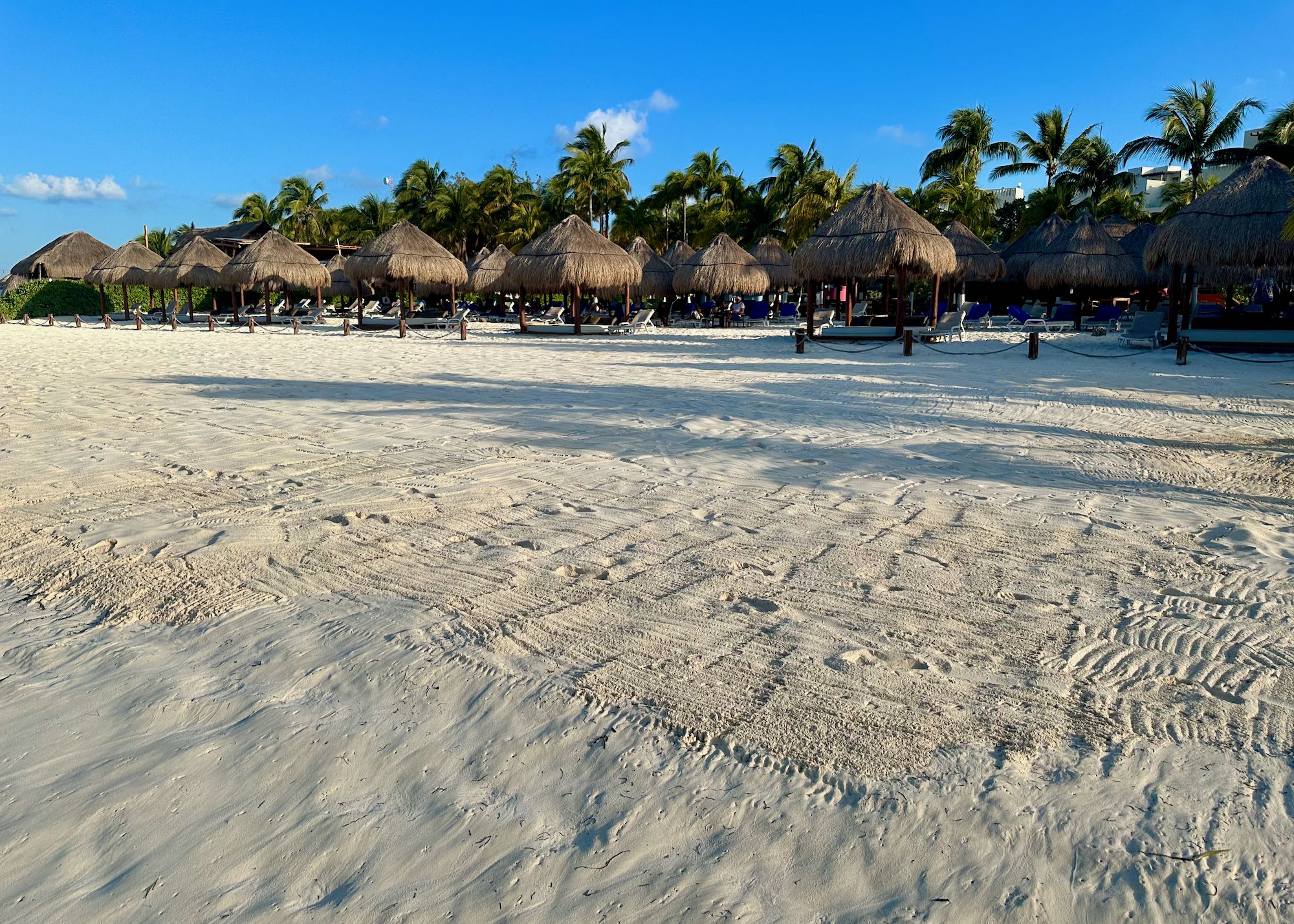 Mexico Dave logo
