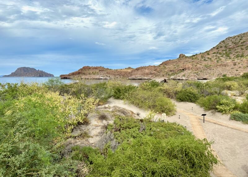 A remote water alcove with gold sand and green shrubs.