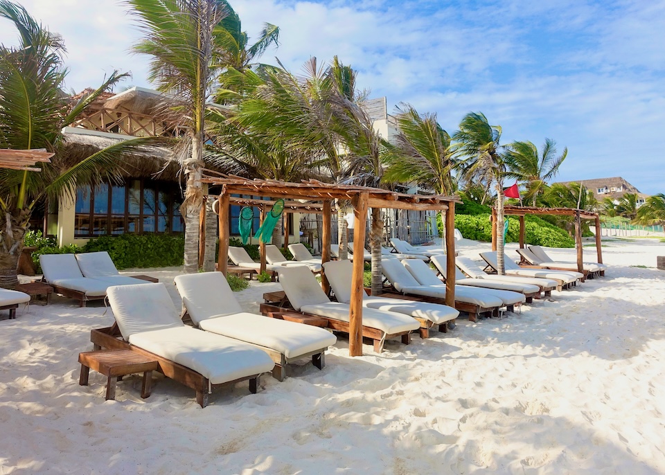 Two rows of sunbeds on the beach in front of a glass-fronted building and palm trees at Dune hotel in Tulum.