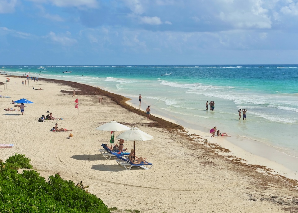 People enjoying a sunny day at the beach despite a thick line of seaweed at the shore’s edge in the North Beach Zone.