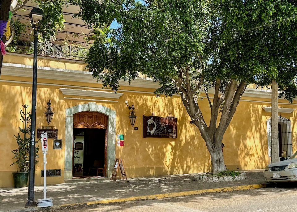 View from the street of the colonial-style Los Pilares hotel with a shade tree in Oaxaca.