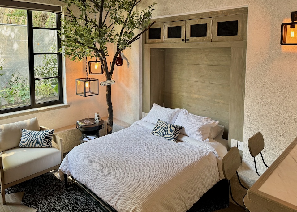 A softly-lit suite with a tree growing inside next to the bed at H21 hotel in Mexico City.