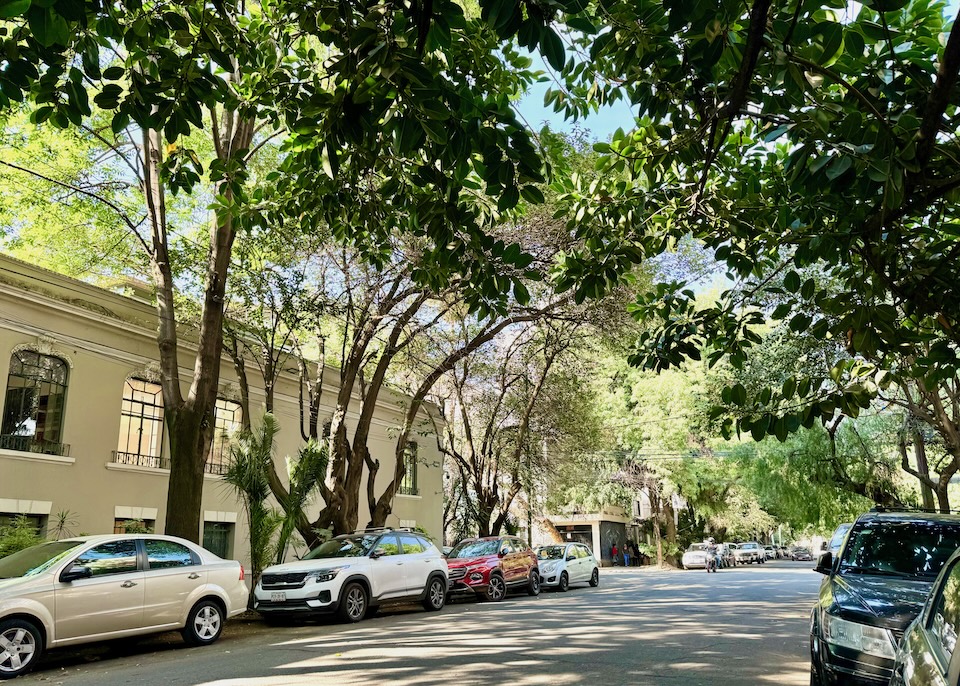 A tree-lined street with Art Deco and Art Nouveau buildings and parked cars in La Condesa, Mexico City.